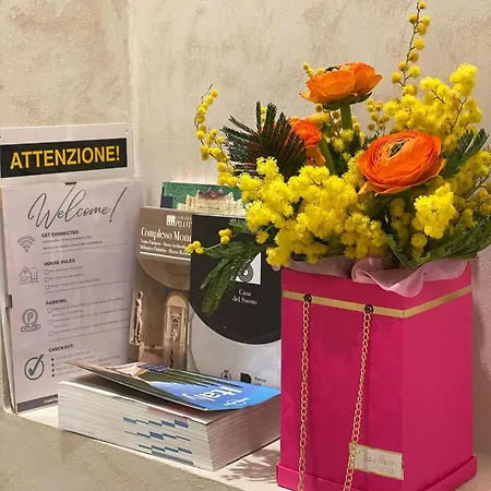 Mentana Affittacamere